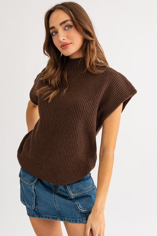 brown Turtle Neck Sweater Vest